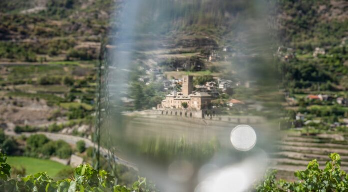 VINI IN VIGNA 2022: grande successo ad Aymavilles