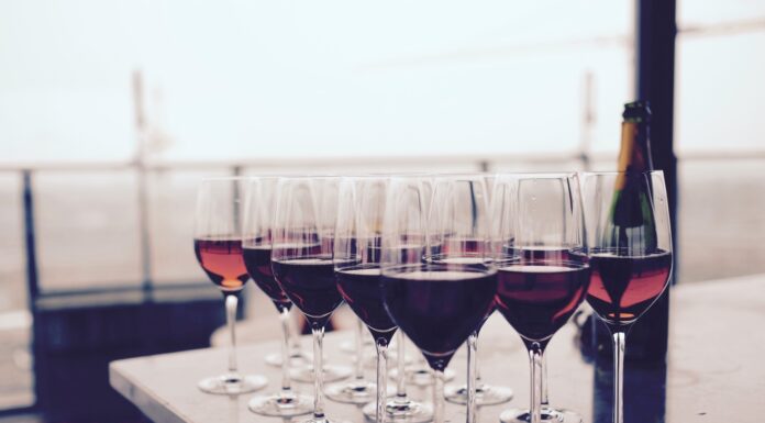 A Piacenza tornano i VIGNAIOLI INDIPENDENTI