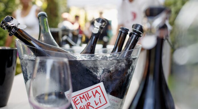 EMILIA SUR LIE GOES TO AILIME: alla scoperta dei rifermentati naturali emiliani a Torino