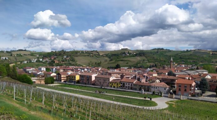 DULCIS IN FUNDO: Tour nella vigna urbana, alla scoperta del vino moscato