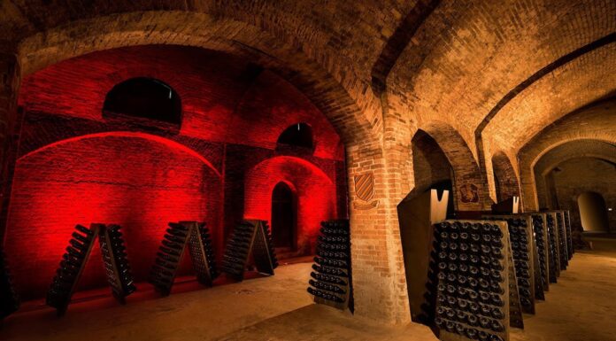 ALTA LANGA DOCG E GRAN CATTEDRALE: le due nuove proposte premium di Bosca lanciate in GDO