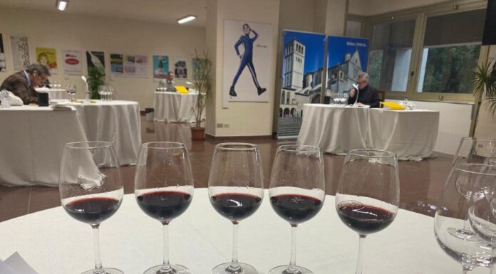 L’UMBRIA DEL VINO: entra nel vivo la fase di selezione dell’edizione 2023