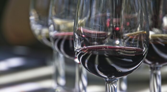 ARTIGIANI DEL VINO: La fiera sul vino biologico, biodinamico e naturale a Bologna