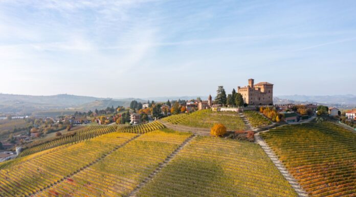 ALESSANDRO MECCA AL CASTELLO DI GRINZANE CAVOUR: una nuova avventura dall’11 marzo