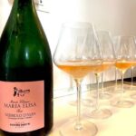 Maria Elisa Angelo Negro vini
