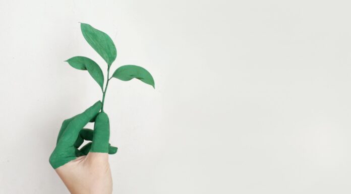 IL FUTURO DEL CIBO: Nuovo appuntamento il 9 e 10 marzo per Food, Wine & CO.