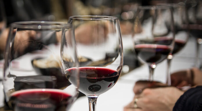 TERANUM: I vini rossi del Friuli e non solo