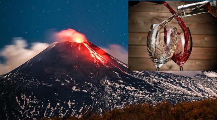 CONTRADE DELL’ETNA: Ospiti speciali Farinetti e Beck
