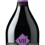 V8+ Bruno_1
