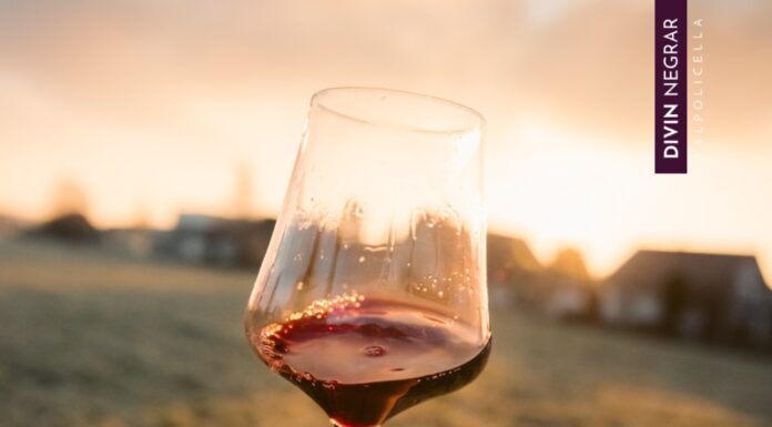 DIVIN NEGRAR: Alla ricerca dei tesori della Valpolicella Classica
