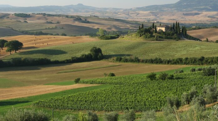 ORCIA WINE FESTIVAL: torna la XII edizione