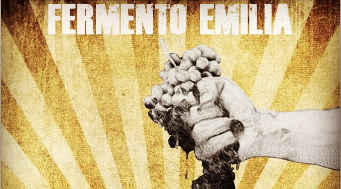 ARRIVA FERMENTO EMILIA: Oltre 40 vignaioli si raccontano