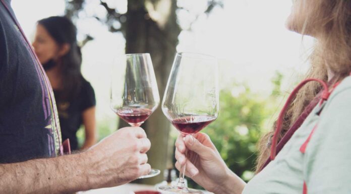 ANTEPRIMA VINO AL VINO 2023: Tra le vigne di Panzano in Chianti