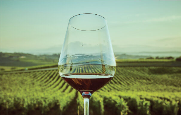 BEREBENE 2024: I migliori vini italiani entro i 20 euro
