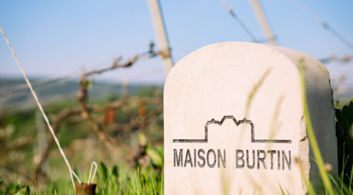 MAISON BURTIN: New entry nel portfolio delle Tenute Del Leone Alato