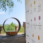 Neive BorgoDiVino 2022 2