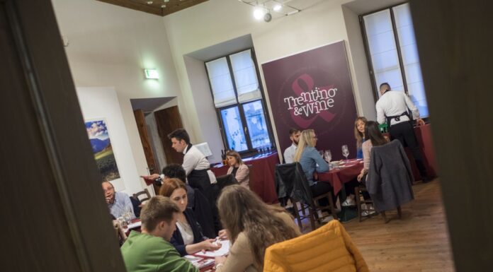 TRENTINO & WINE: Il vino ed il suo territorio