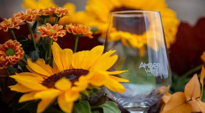 AMBER WINE FESTIVAL: Torna il 21 e 22 maggio a Trieste