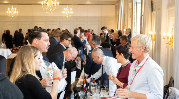 VINI PER L’ESTATE: La nuova guida di DoctorWine