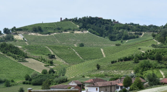 LA BARBERA INCONTRA 2023: Torna a San Damiano D’Asti