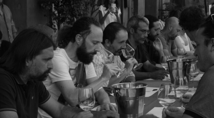 DISFIDA DELLE CONTEE: Torna la degustazione di vini contadini