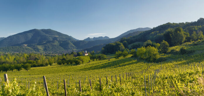 ARRIVA FRANCIACORTA IN VILLA: Decima Edizione