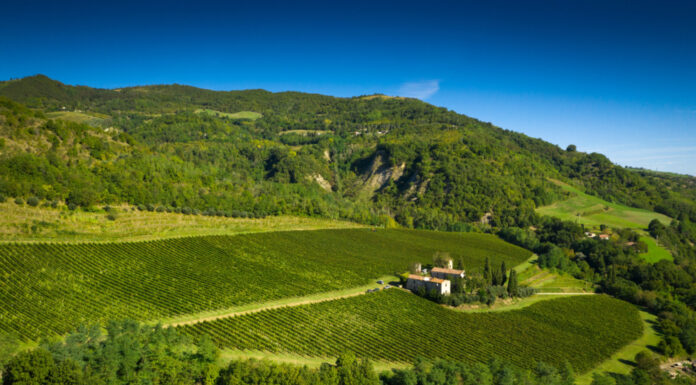 ARGEA: Un nuovo progetto con Riccardo Cotarella