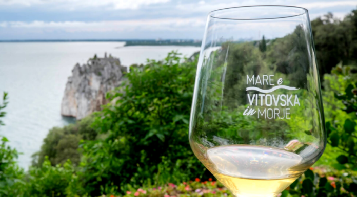 VITOVSKA 2050: Sostenibilità, sviluppo e collaborazione