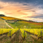 Chianti