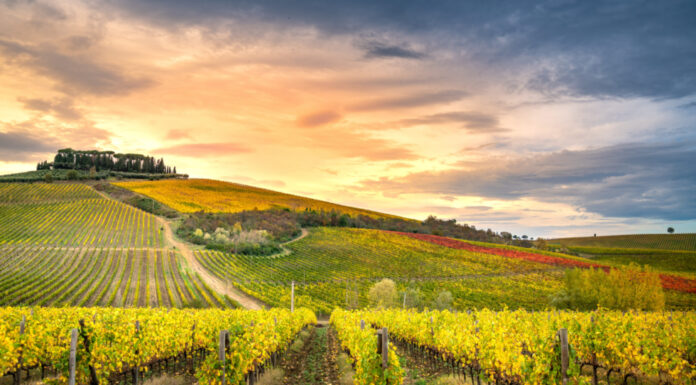 CHIANTI CLASSICO SUMMER 2023: Musica, Arte, Teatro, Vino