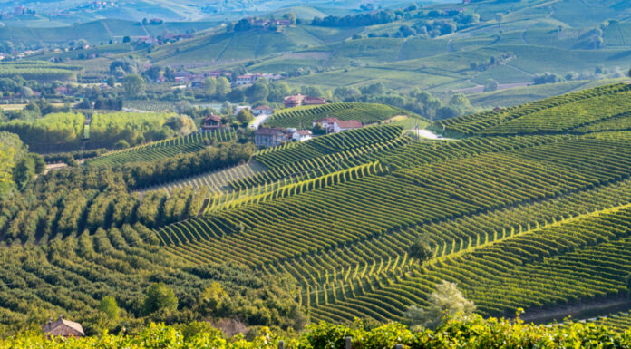 MONFERRATO ON STAGE: 12 eventi per l’estate 2023