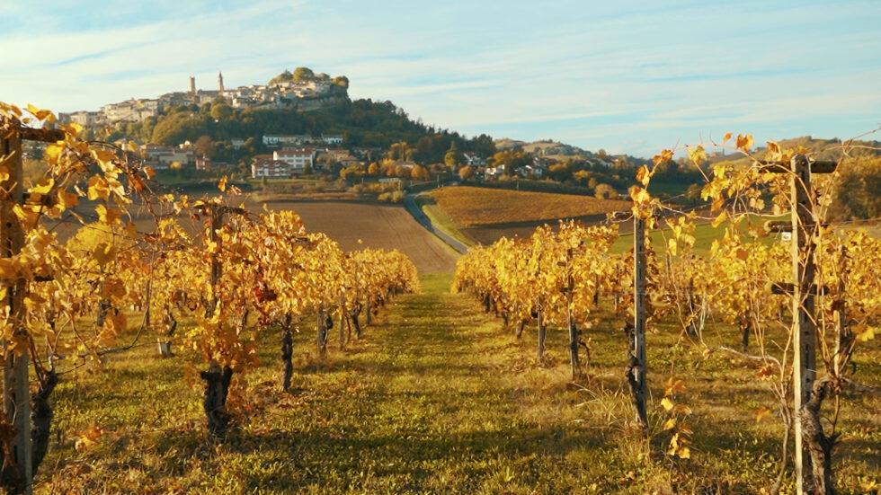 VENDEMMIA IN ARTE 2023: Torna la XXVIII edizione a Rosignano