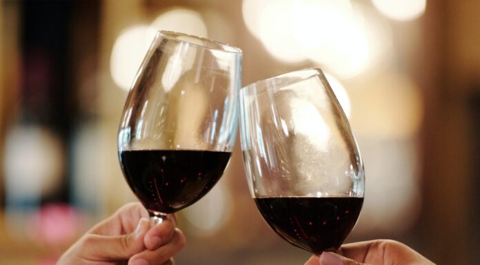 VINI D’ITALIA by Gambero Rosso: ecco i premiati per il 2024