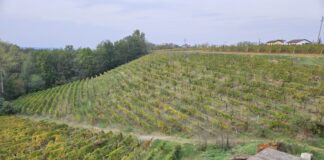 OVADA REVOLUTION 2023: il nostro tour tra i vigneti del Monferrato