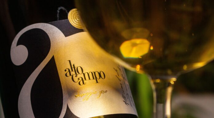 ALTOCAMPO: dalla Campania il metodo classico sull’Asprinio che rivoluziona lo spumante italiano