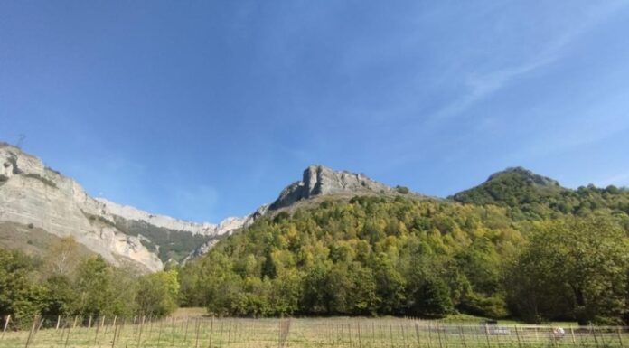 IL RIESLING DI ENTRACQUE: Un progetto lungimirante di Réva