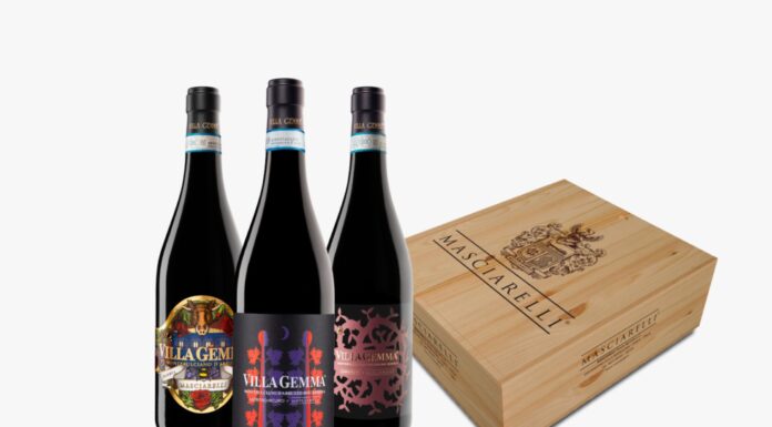 MASCIARELLI ART PROJECT: Una Box di design per Natale
