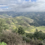 Valle del Douro