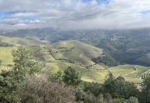 IL PORTO: Storia e tradizione Valle del Douro