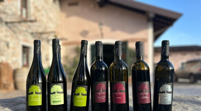 ROBERTO SCUBLA: Il progetto “Vini Vecchi” Azienda Agricola Roberto Scubla