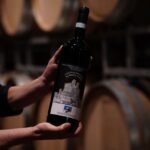 Castellinaldo-Barbera d’Alba DOC