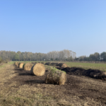 Azienda Agricola Terrevive