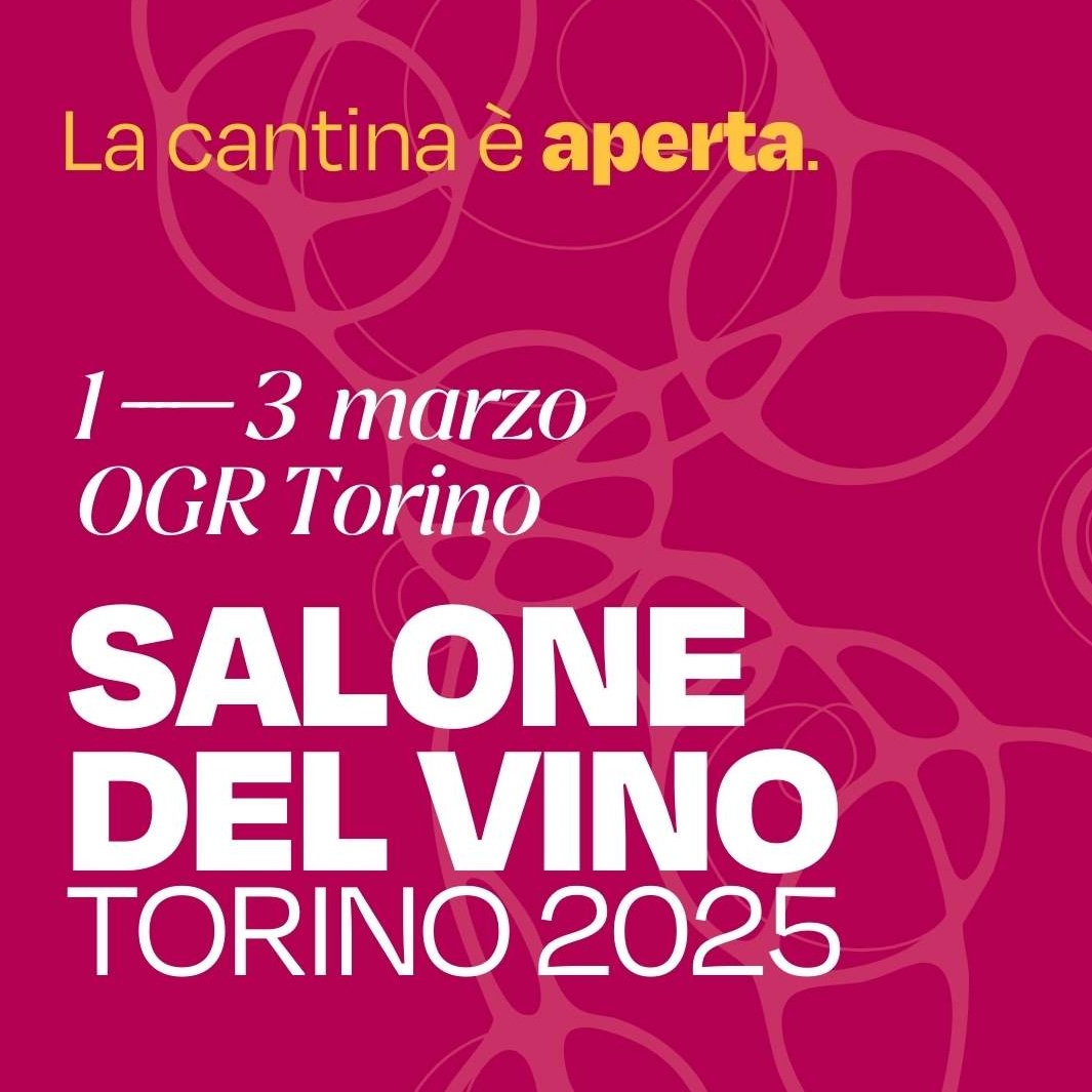 SALONE DEL VINO DI TORINO: La terza Edizione