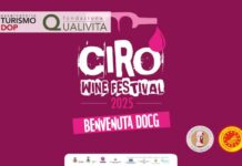 Cirò Classico conquista la DOCG: la Calabria del vino nell’Olimpo