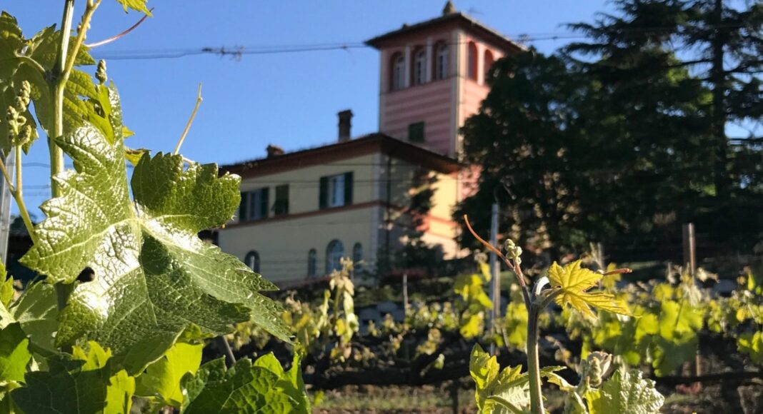 La scolca cosa fare colline del gavi