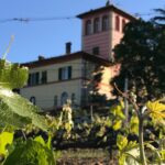 la-scolca-cantina-vini-gavi