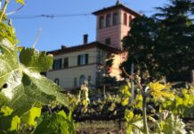 Cantina La Scolca: 5 weekend nelle colline del Gavi La scolca cosa fare colline del gavi