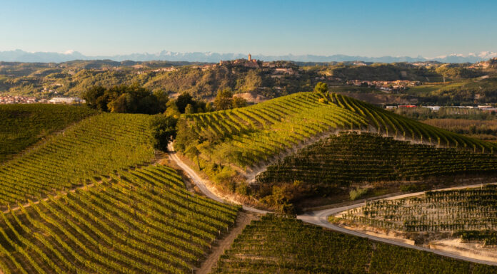 PODERI GIANNI GAGLIARDO, eleganza e finezza del Barolo