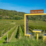 Vigneti Collio