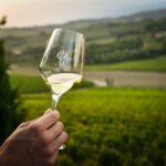 bianchi del collio